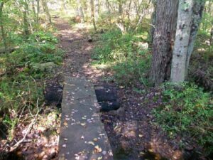 Photo of hiking trail with a plank bridge over a puddle.
