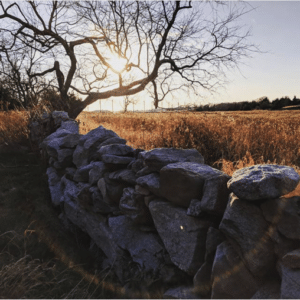 Sun cresting over the horizon of a meadow with a manmade stone wall.
