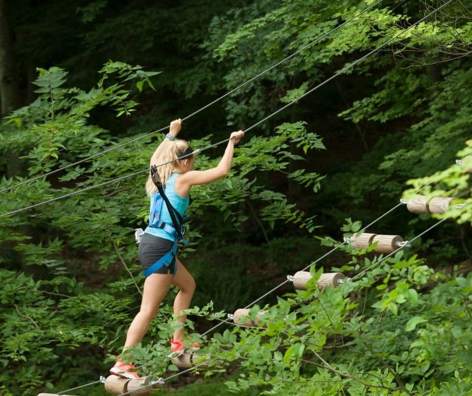 The Whaler’s Inn Summer Mystic Activities Tree Trails - Whaler’s Inn