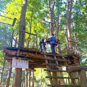 Woman climbs up ladder at Tree Trails Adventure Park 