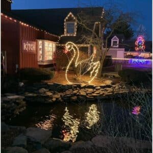 Lighted swan display by pond
