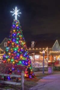 holiday tree in Olde Mistick Village 