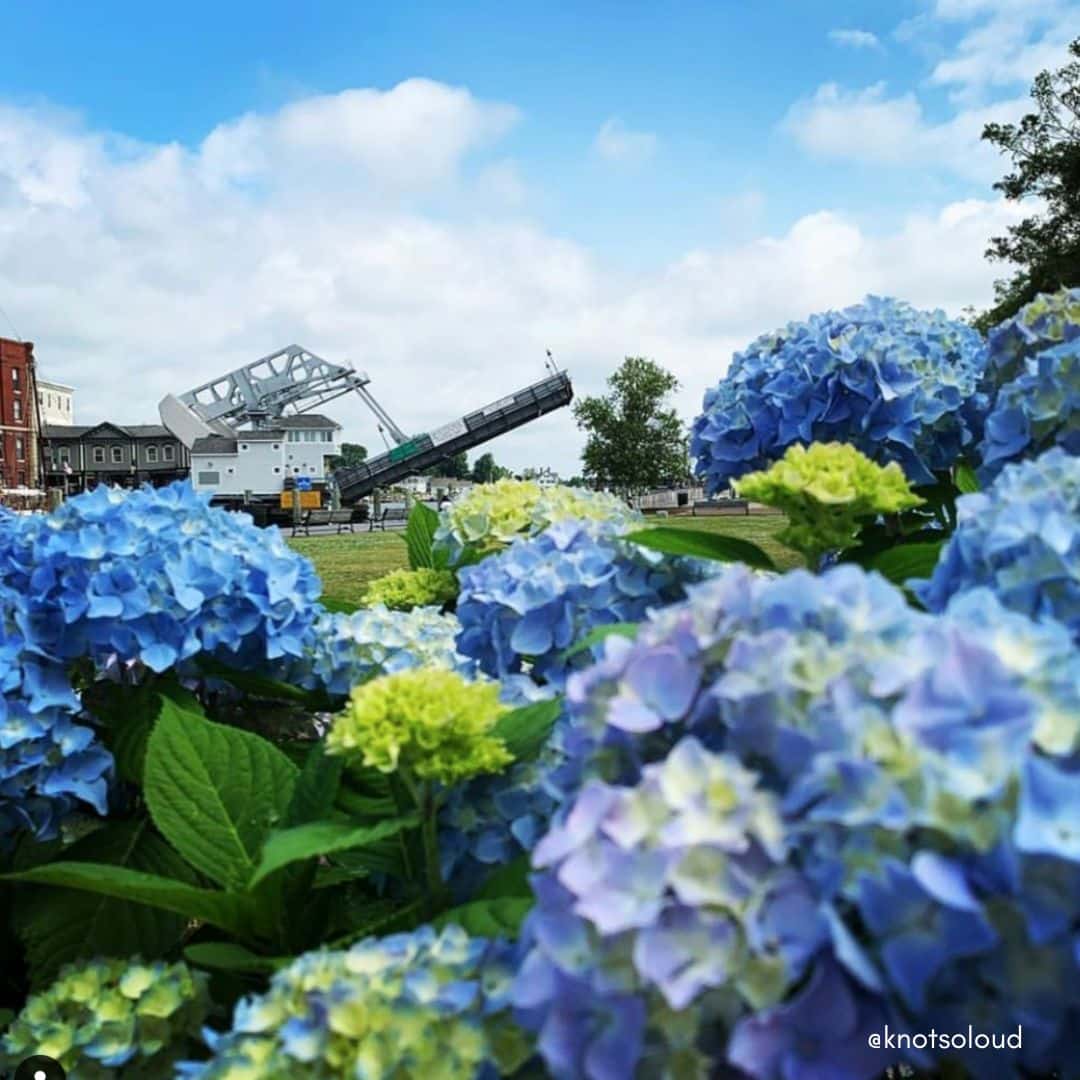 Best Flower Spots in Mystic for all the Springtime Vibes Whaler's Inn