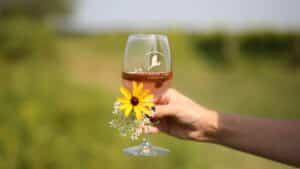 Women holding a glass of wine and black eyed susan at Saltwater Farm Vineyard in Stonington