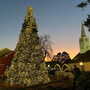 Tree decked out in holiday lights in Olde Mistick Village with white church and sunset backdrop