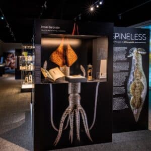 Exhibits featuring environmental efforts at The Seaport Museum